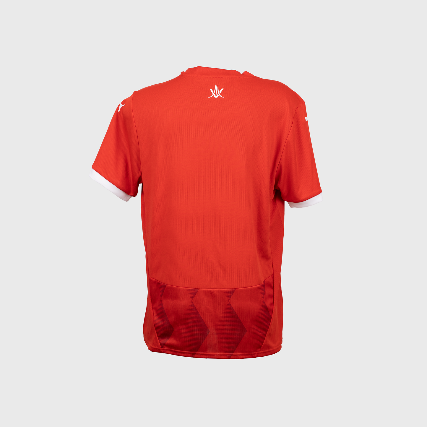 Maillot Puma CR Belouizdad 2024-2025 Rouge Homme/Femme – Football Algérie