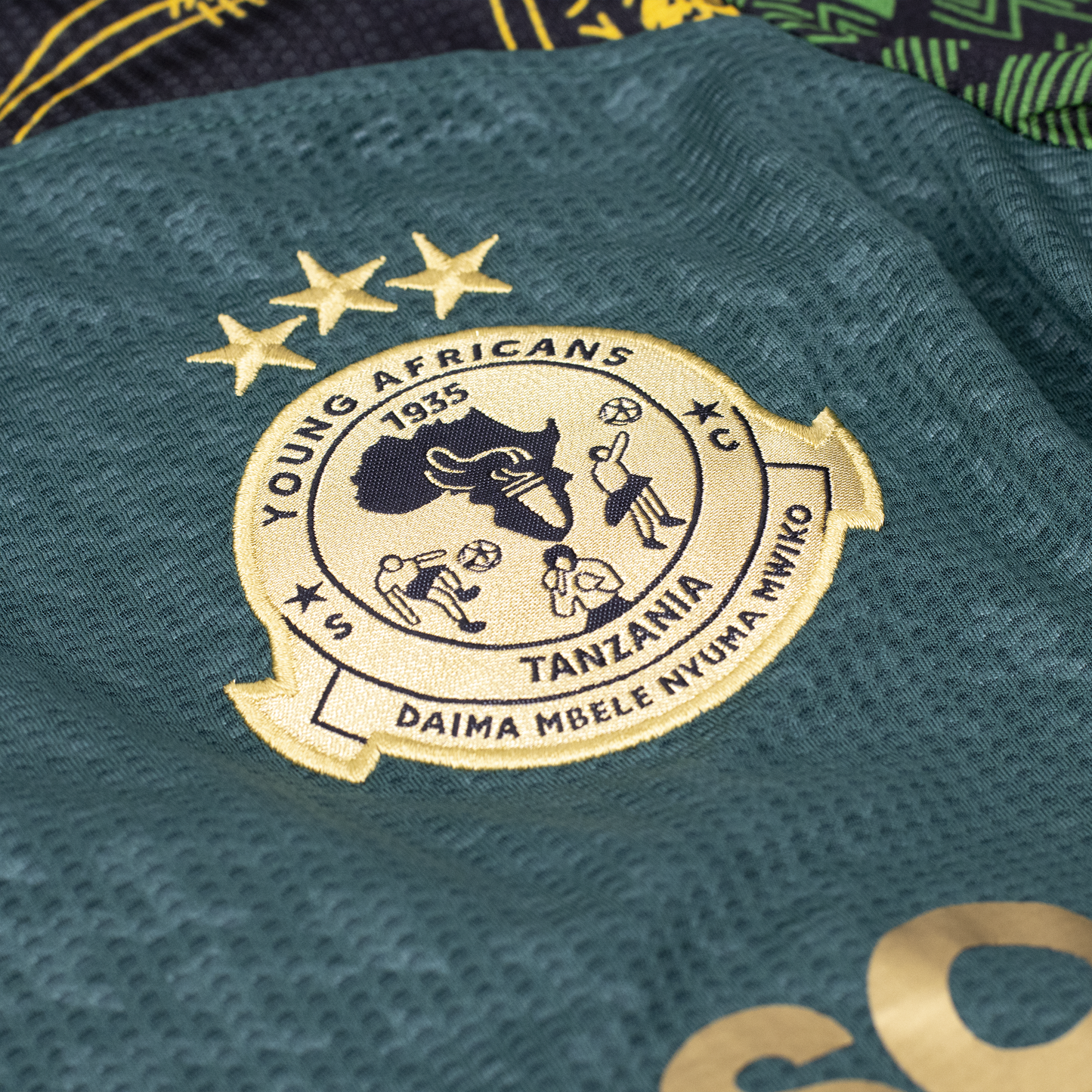 Maillot Sheria Ngowi Young Africans 2024-2025 Homme/Femme Vert – Football Tanzanie