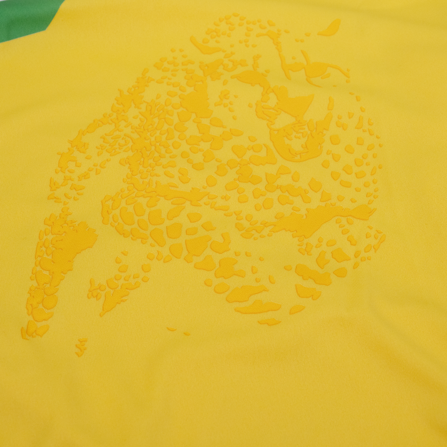 Maillot Macron Bénin Domicile 2025-2026 Homme/Femme – Football